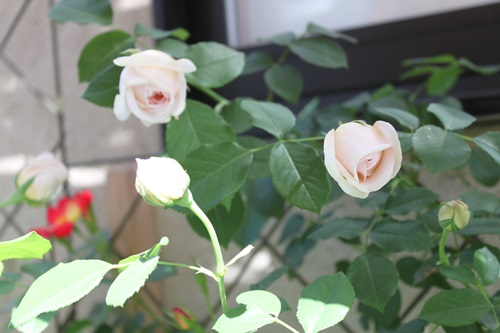 003_20130531094500.jpg