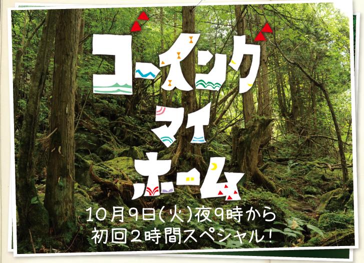 ゴーイングマイホーム 阿部寛 山口智子 宮崎あおい 是枝裕和