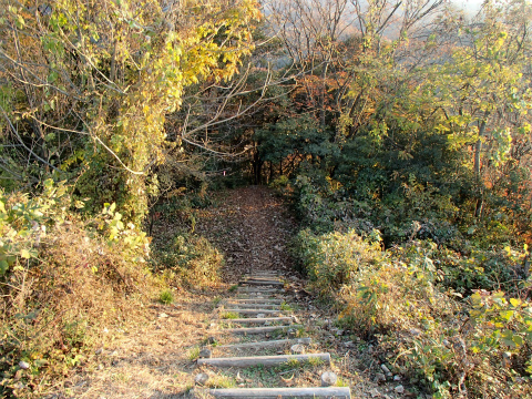 PB221447.jpg