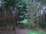 DSC00099_20120621015143.jpg