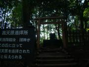 DSC00101.jpg