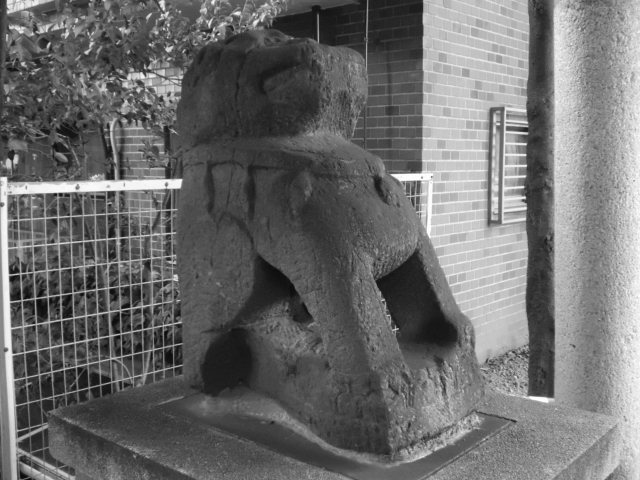 CIMG0004_20120828184551.jpg