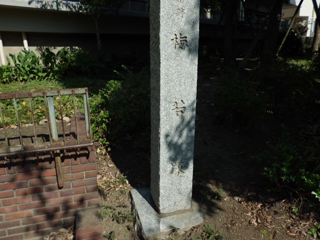 CIMG0008_20120919180955.jpg