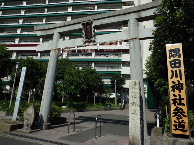 CIMG0027.jpg