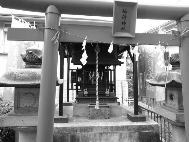 CIMG0032_20120828184740.jpg