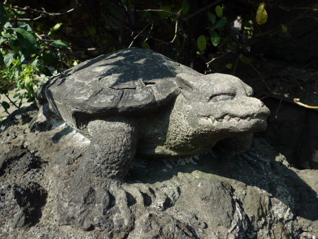 CIMG0036_20120921202327.jpg