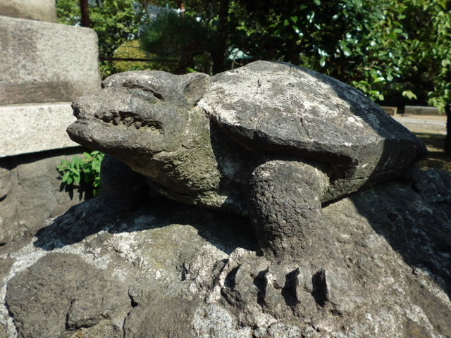 CIMG0037_20120921202327.jpg