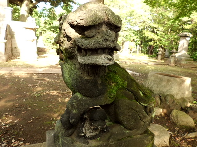 CIMG0038.jpg