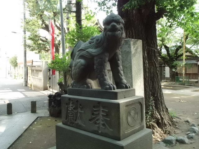 CIMG0038_20120921205744.jpg