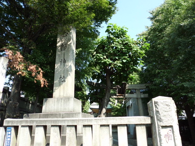 CIMG0047.jpg