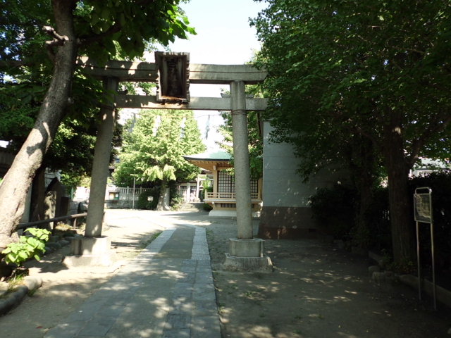 CIMG0048_20120921202326.jpg