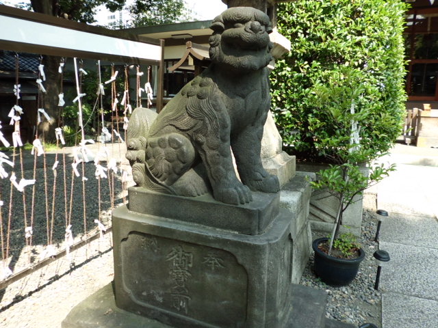 CIMG0054_20120921202458.jpg