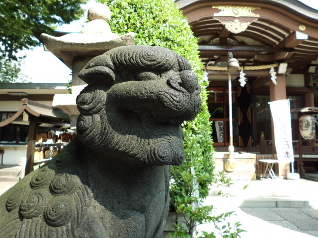 CIMG0055_20120921202457.jpg