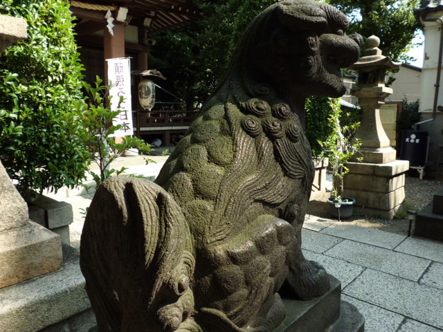 CIMG0056_20120921202457.jpg