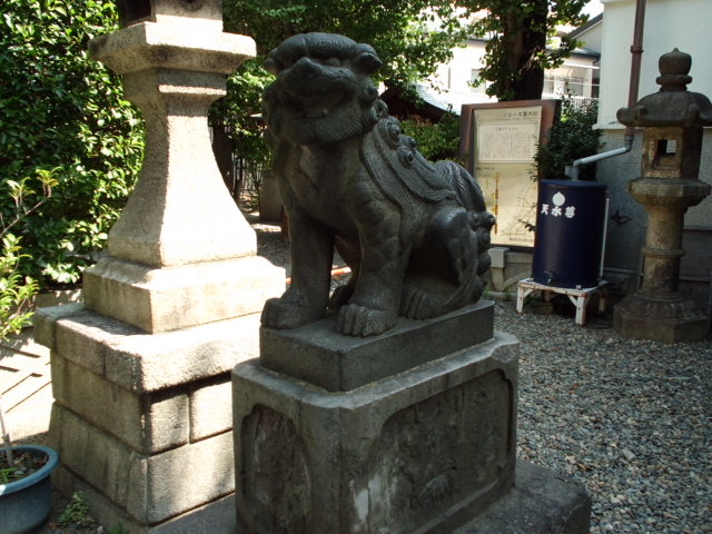 CIMG0058_20120921202456.jpg