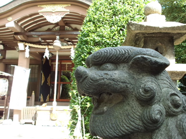 CIMG0059_20120921202456.jpg