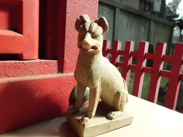 CIMG0063_20120823183129.jpg