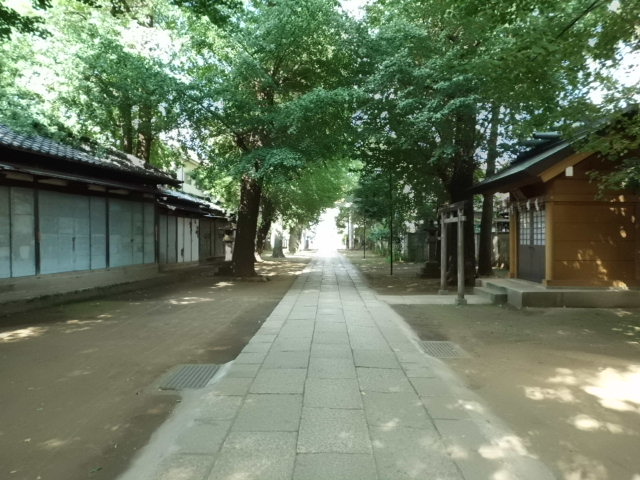 CIMG0064_20120823185531.jpg