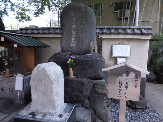 CIMG0065_20120908161319.jpg