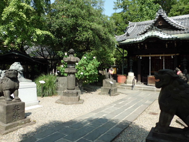 CIMG0072.jpg