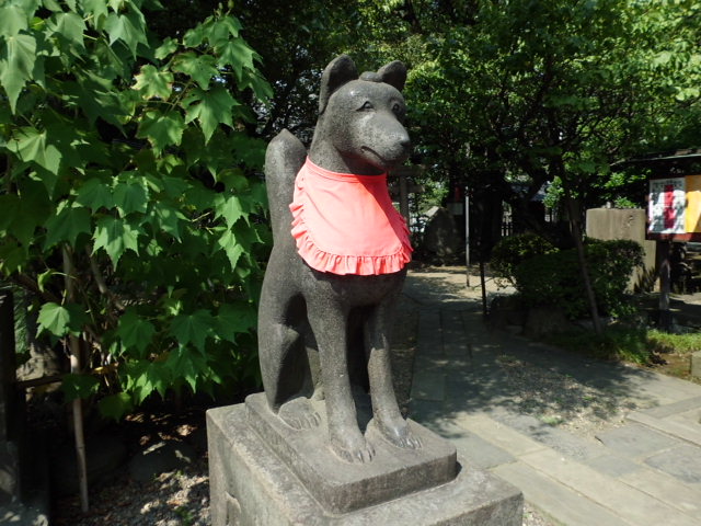 CIMG0079.jpg
