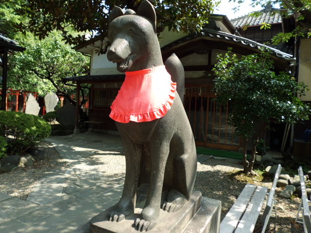 CIMG0084.jpg