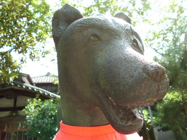 CIMG0086.jpg