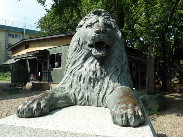 CIMG0095_20120925184934.jpg