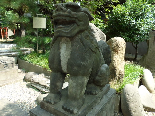 CIMG0097_20120925184934.jpg