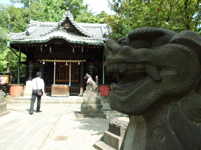CIMG0099_20120925184959.jpg