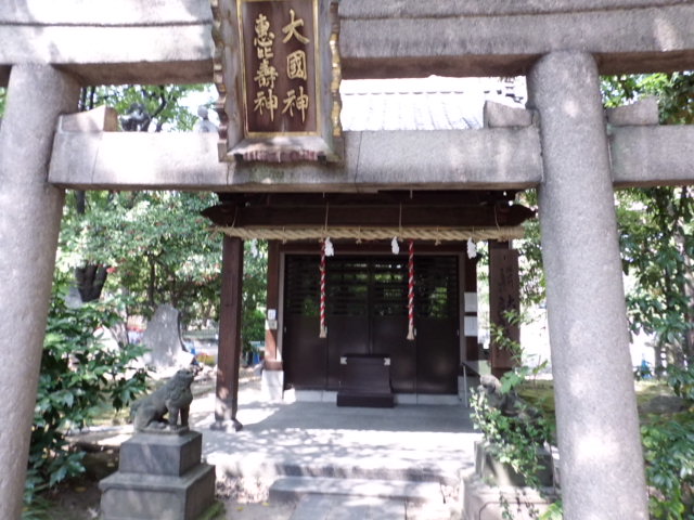 CIMG0101.jpg
