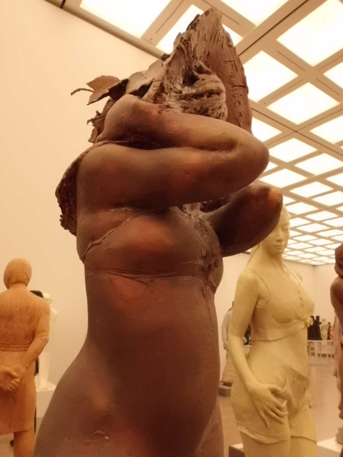 CIMG0101_20121107202239.jpg