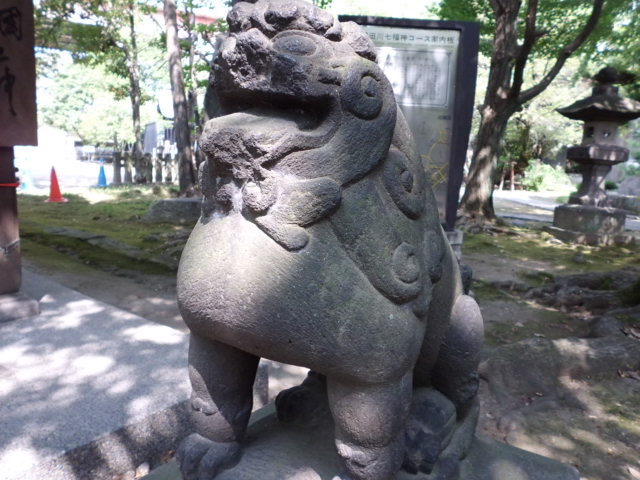 CIMG0102.jpg