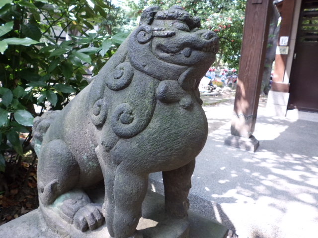 CIMG0103.jpg
