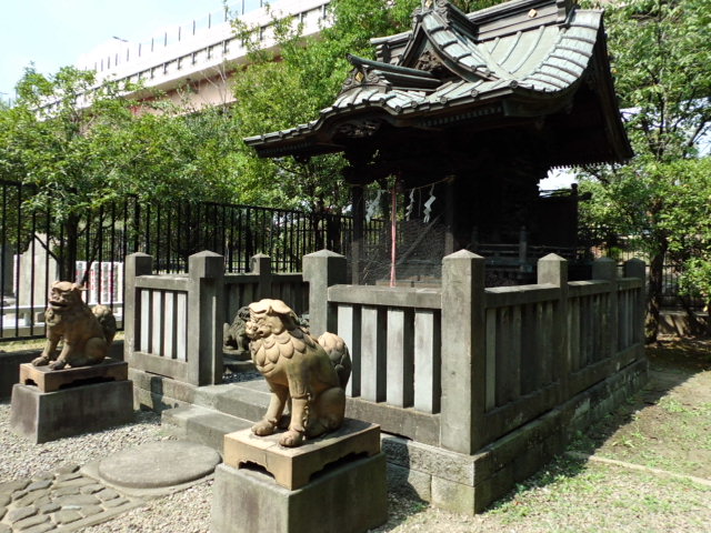CIMG0104.jpg