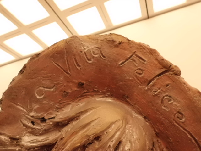 CIMG0104_20121107202238.jpg