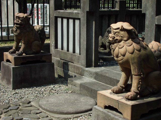 CIMG0105.jpg