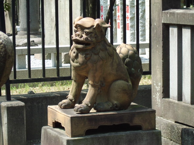 CIMG0106.jpg