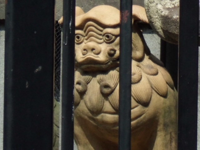 CIMG0116.jpg