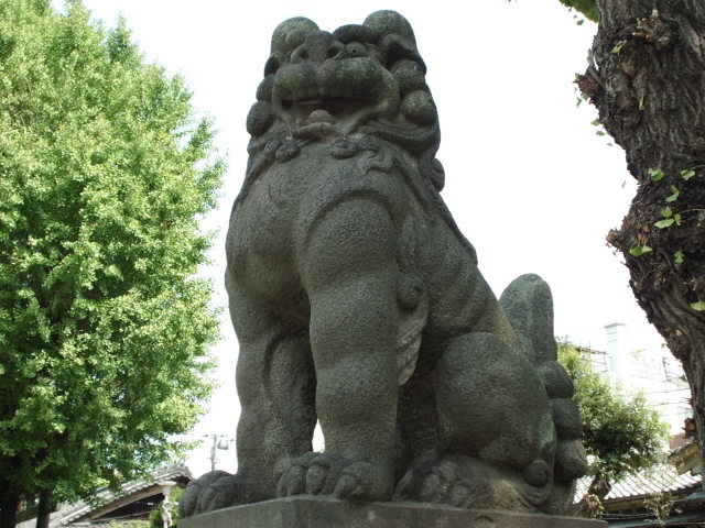 CIMG0123.jpg