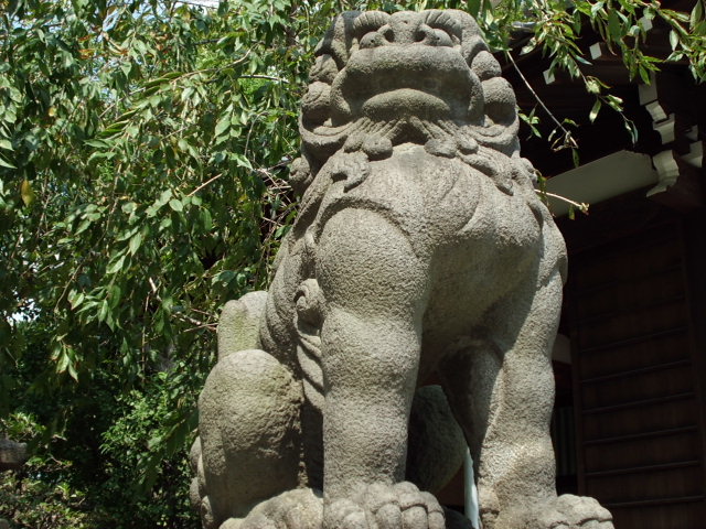 CIMG0124_20121011191109.jpg