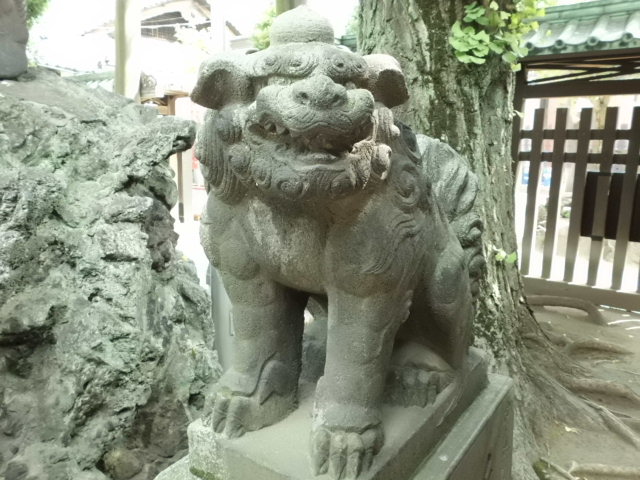 CIMG0127_20121011191108.jpg