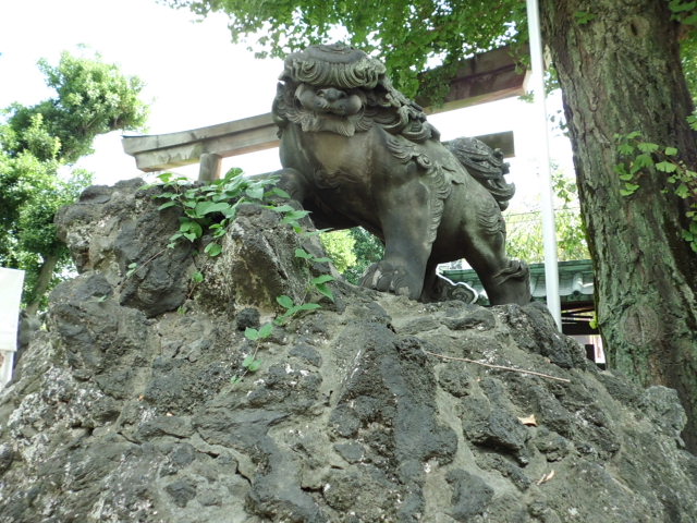 CIMG0128_20121011191249.jpg
