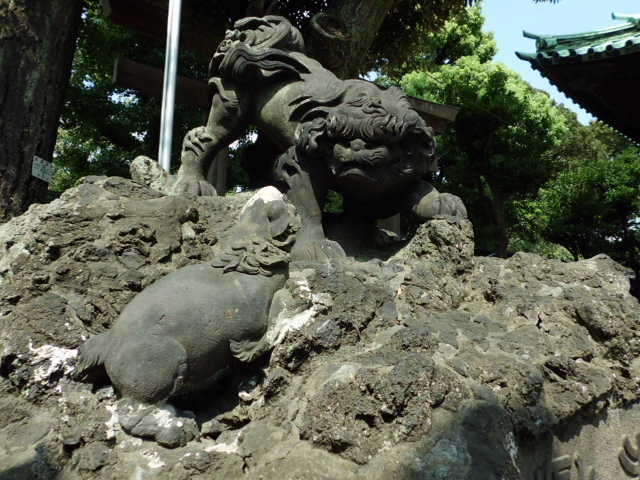 CIMG0130_20121011191249.jpg
