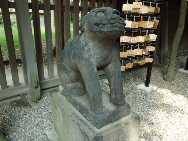 CIMG0133.jpg