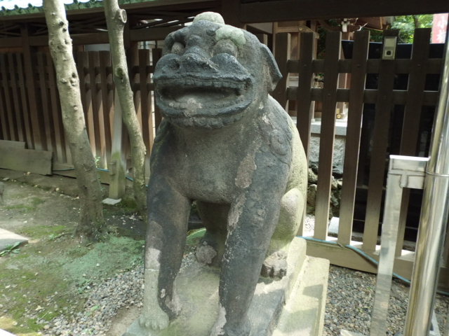 CIMG0137.jpg
