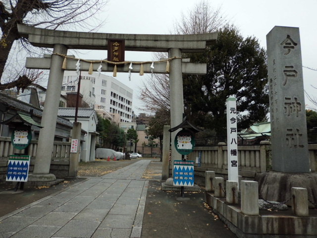 CIMG0279.jpg