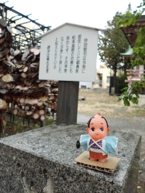 CIMG0284.jpg