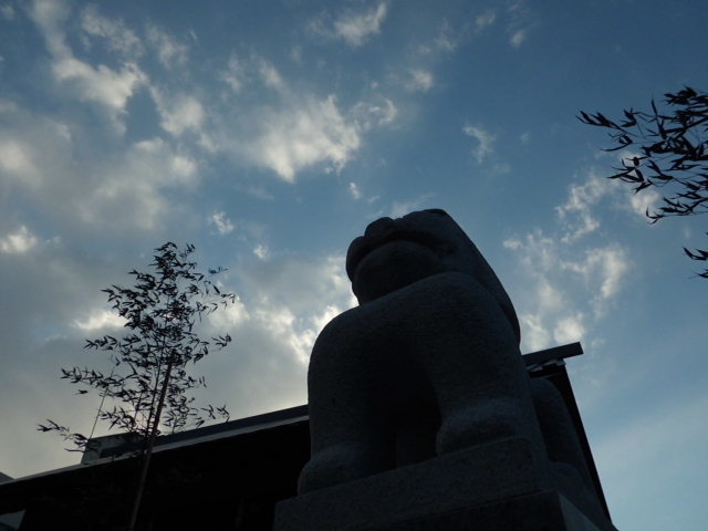 CIMG0411.jpg