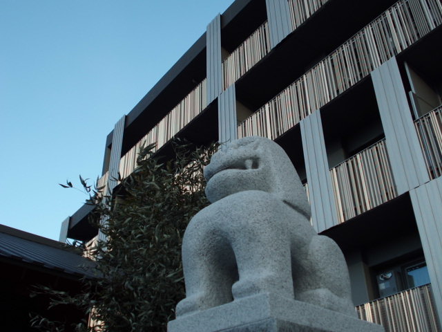 CIMG0412.jpg